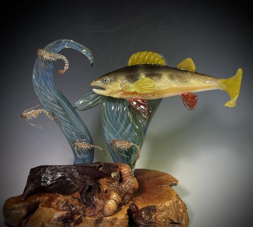 Milon Townsend - USA - Yellow Perch with Mycid Shrimp - Perca Flavescens with Mysis Diluviana