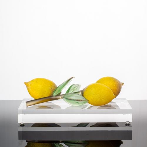 Julie Johnson - France - Lemons / Citreum