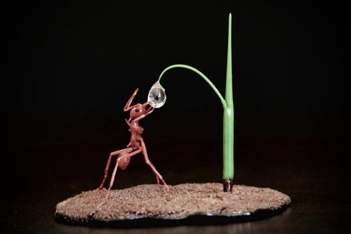Rafael Sanchez Delgado - USA - “Nature provides” - Leaf cutter ant (Atta cephalotes) drinking from a drop of water