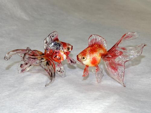 Atsuko Amino - Japan - Goldfish Carassius auratus auratus