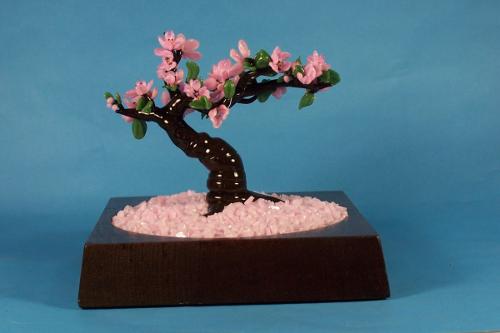 Lewis C & Barbara Cope Wilson - USA - Bonsai Cherry Tree