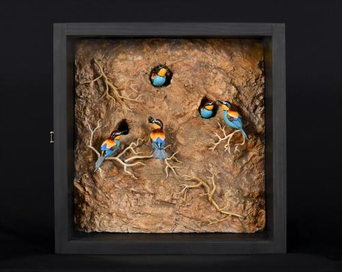 Kimberly Fields & Ronald King - USA - European Bee-eater Nesting Colony